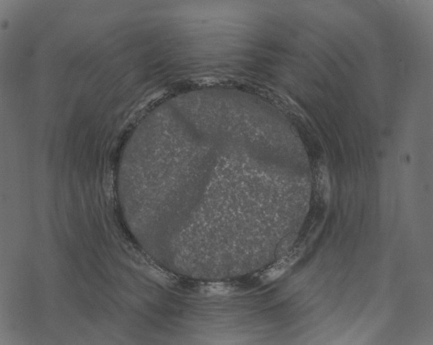 X0000073420565200608251553