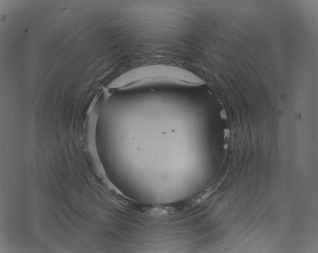 X0000073420566200608251553