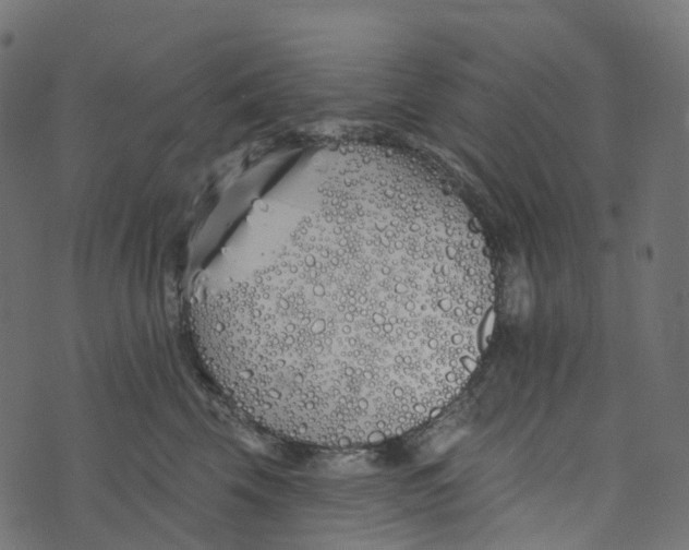 X0000073420569200608251553