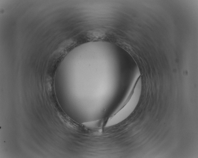 X0000073420570200608251553