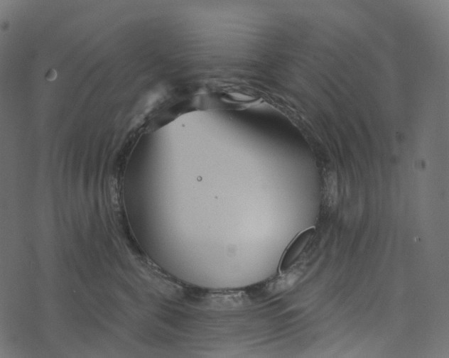 X0000073420571200608251553