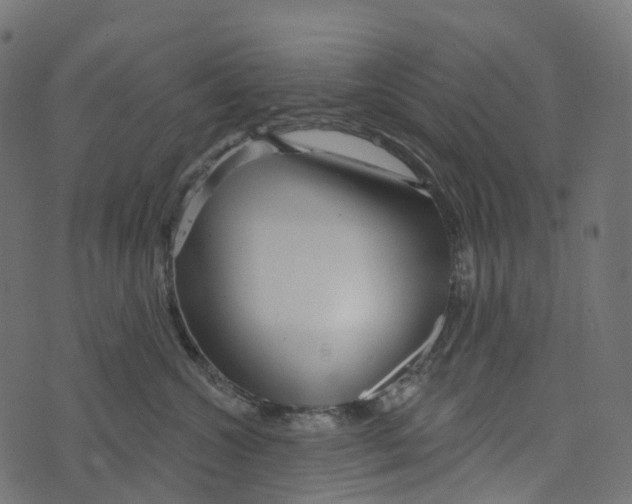 X0000073420572200608251553