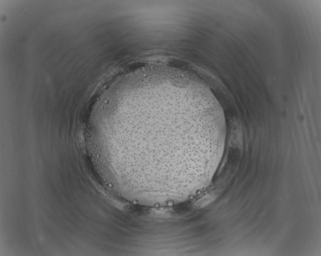 X0000073420573200608251553