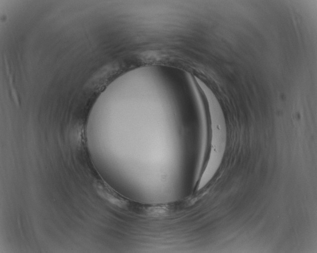 X0000073420574200608251553