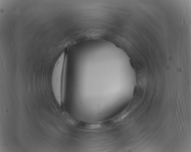 X0000073420575200608251553