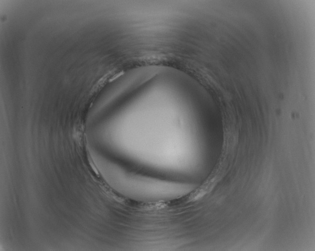 X0000073420576200608251553