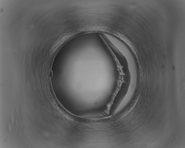 X0000073420577200608251552