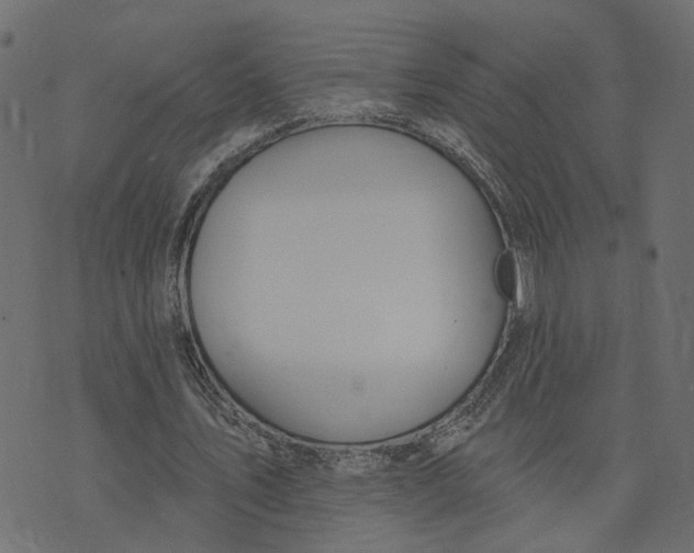 X0000073420579200608251552