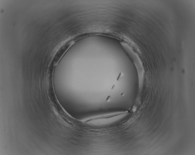 X0000073420580200608251552