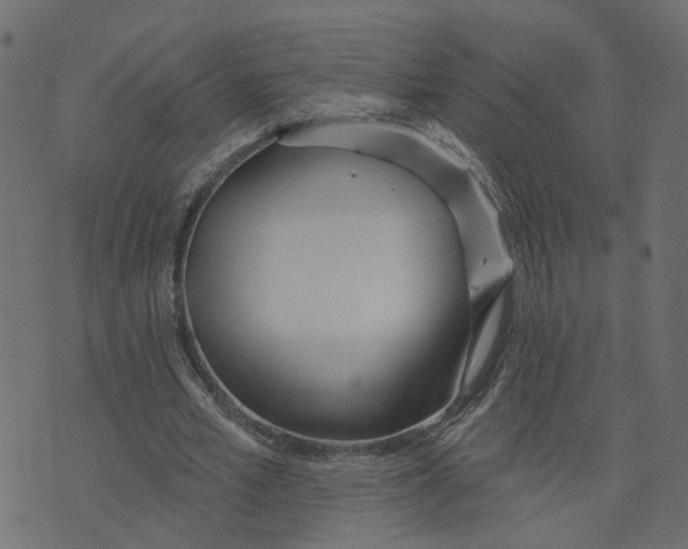 X0000073420581200608251552