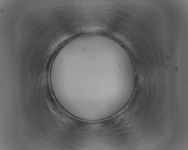 X0000073420583200608251552