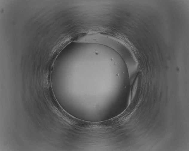 X0000073420585200608251552