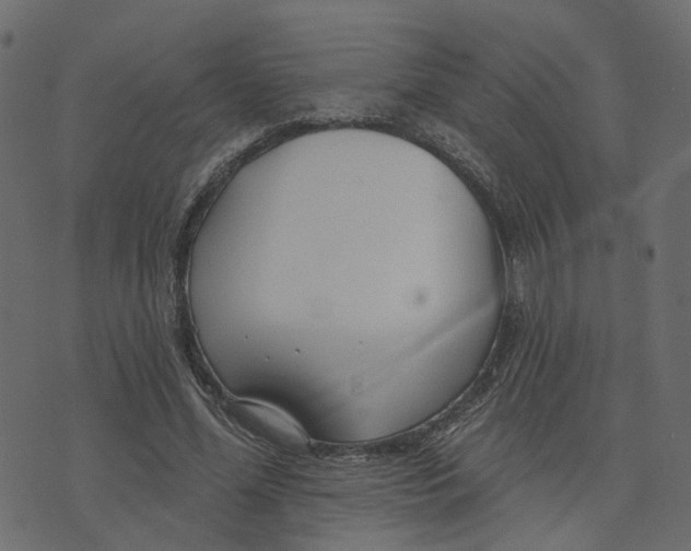 X0000073420588200608251552