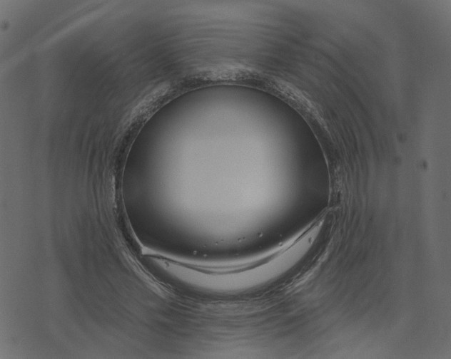 X0000073420589200608251552