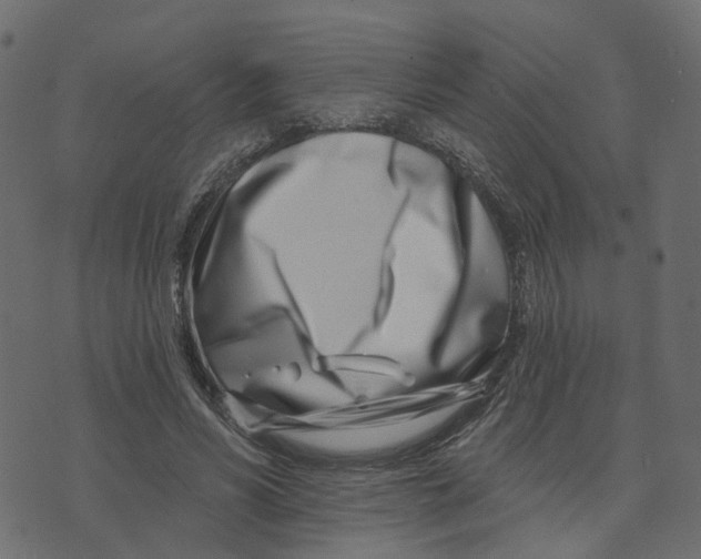 X0000073420590200608251552