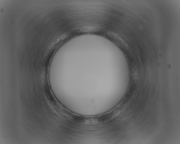 X0000073420591200608251552