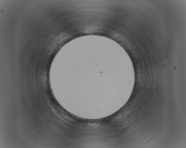 X0000073420592200608251552