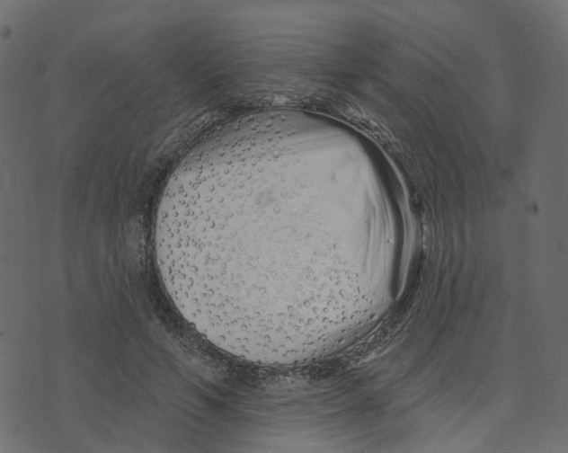 X0000073420594200608251552