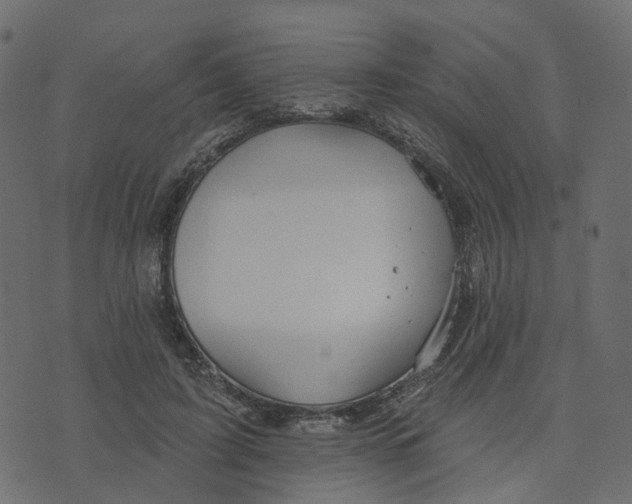 X0000073420595200608251552