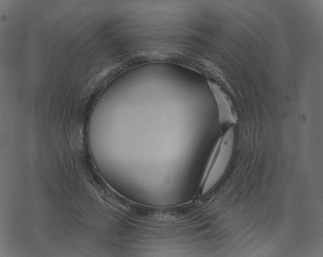 X0000073420596200608251552