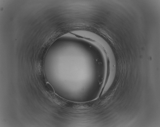 X0000073420597200608251552