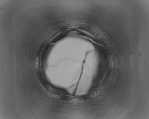 X0000073420598200608251552