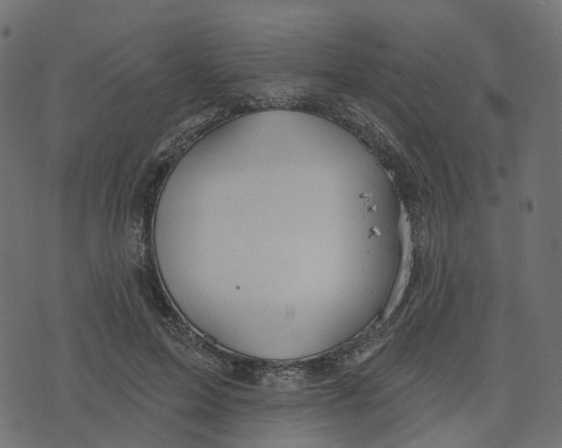 X0000073420599200608251552