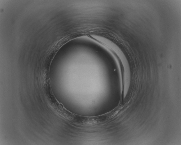 X0000073420600200608251552