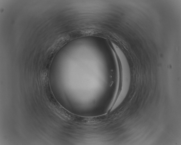 X0000073420601200608251552