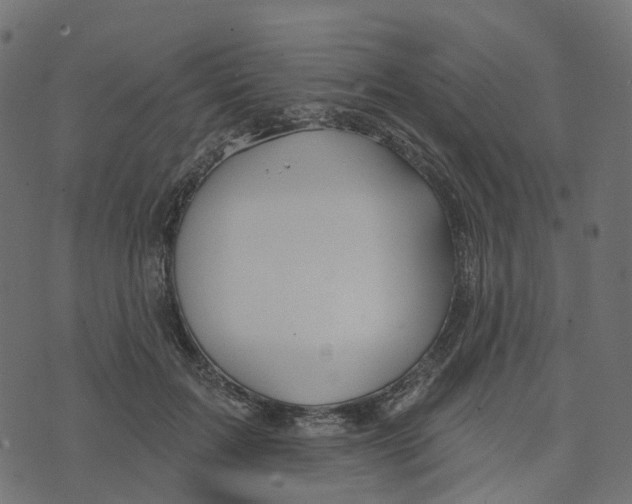 X0000073420603200608251552