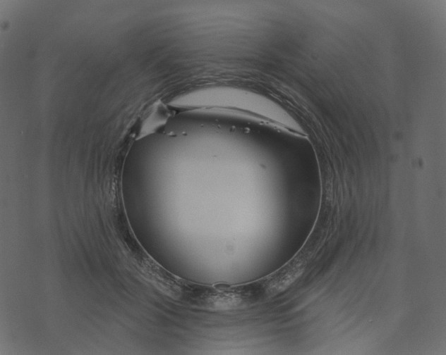 X0000073420604200608251552