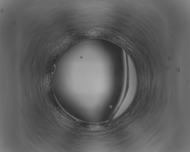 X0000073420605200608251552