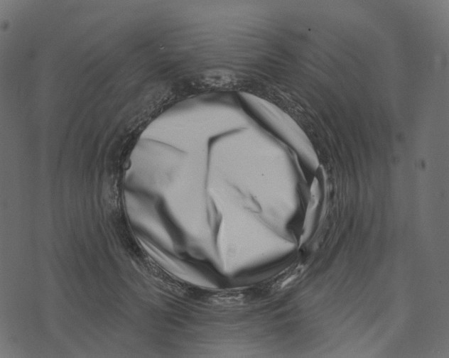 X0000073420606200608251552