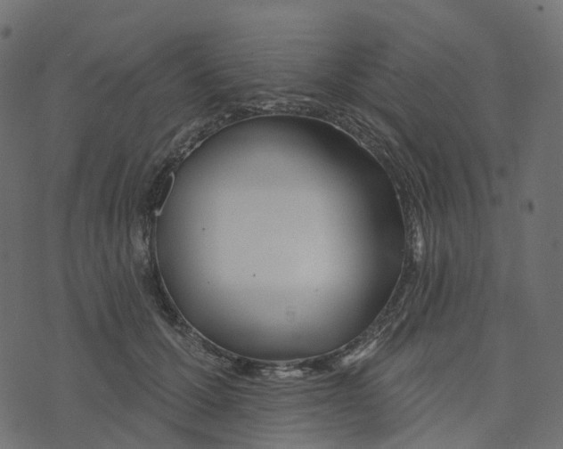 X0000073420607200608251552