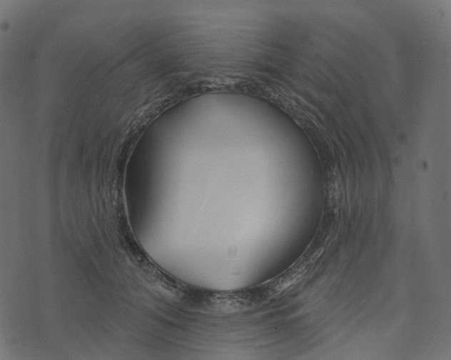 X0000073420608200608251552