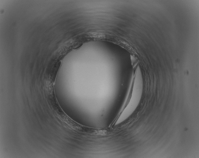 X0000073420609200608251552