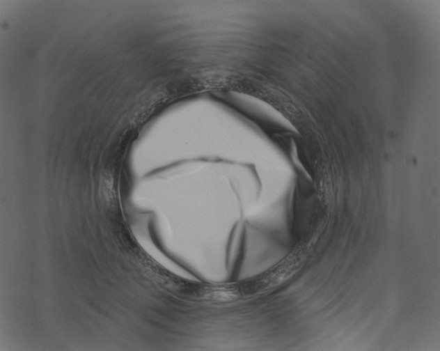 X0000073420610200608251552