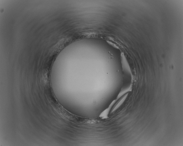 X0000073420611200608251552