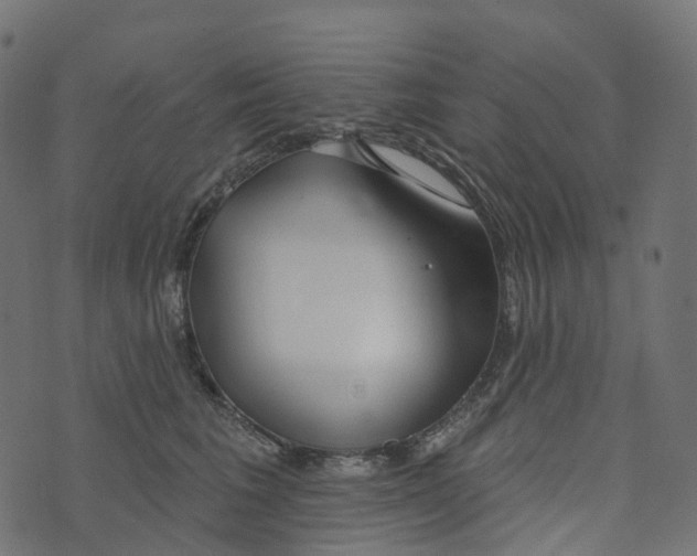 X0000073420613200608251552