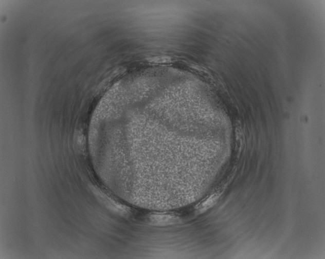 X0000073420614200608251552