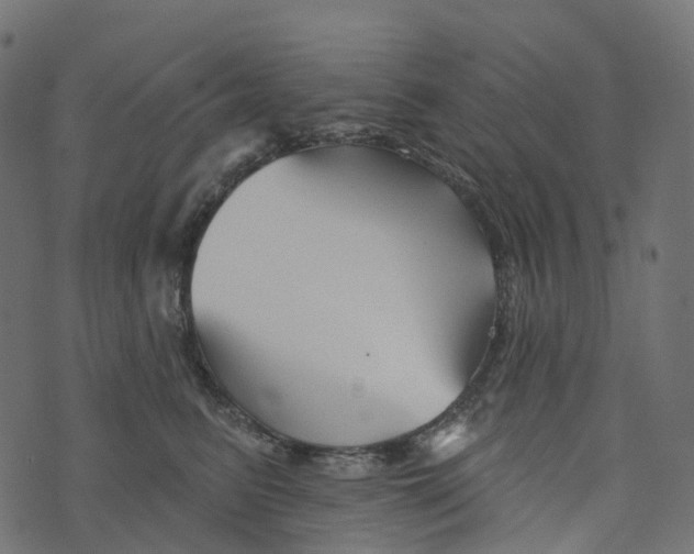 X0000073420615200608251552