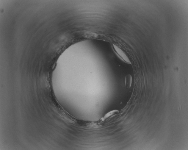 X0000073420616200608251552