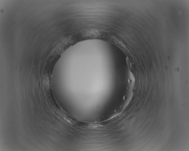 X0000073420617200608251552