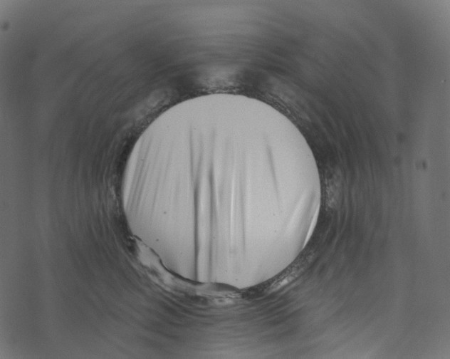 X0000073420618200608251552