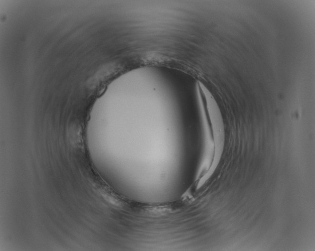 X0000073420619200608251552