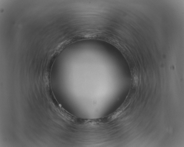 X0000073420620200608251552