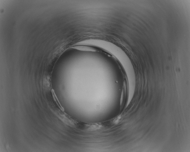 X0000073420621200608251552