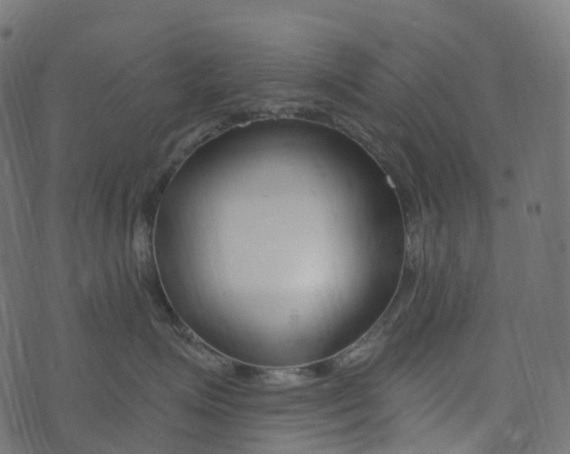 X0000073420623200608251552