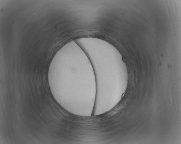 X0000073420624200608251551