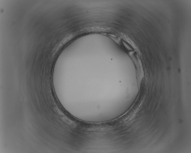 X0000073420625200608251551